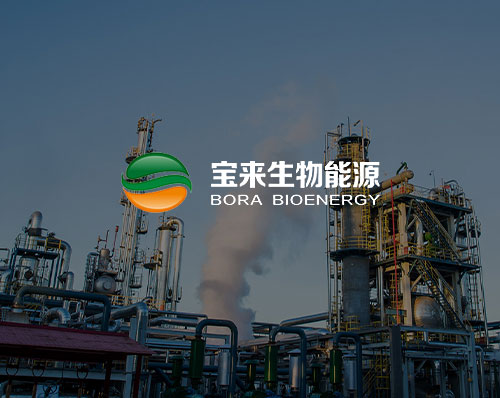 優創網絡為(wèi)【寶來(lái)生(shēng)物(wù)科(kē)技(jì)】提供網站(zhàn)建設服務
