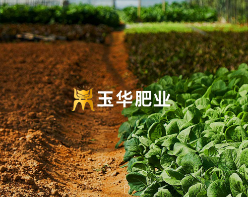 優創網絡為(wèi)【遼甯玉華肥業(yè)有(yǒu)限公司】提供自(zì)适應PC+手機(jī)網站(zhàn)建設服務
