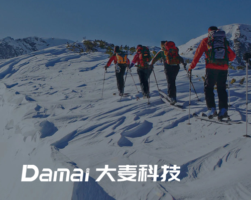 優創網絡為(wèi)【大(dà)麥科(kē)技(jì)】提供網站(zhàn)建設服務