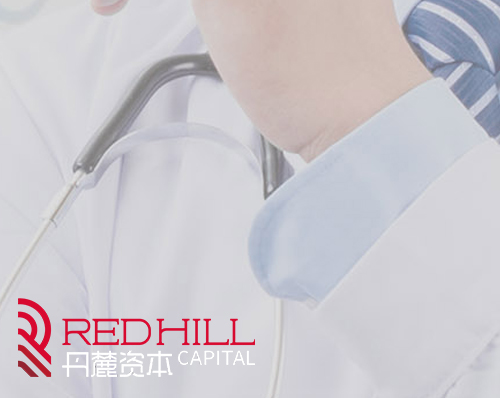 優創網絡為(wèi)【丹麓資本】提供網站(zhàn)建設服務